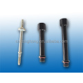 OEM Service Auto Exhaust Diesel Engine Valve